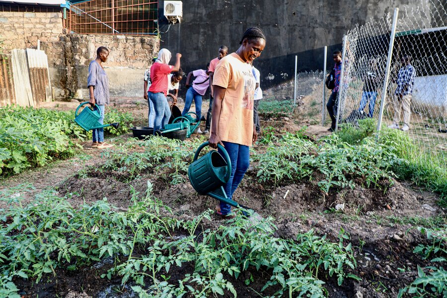Students tend to a WFP-supported garden at Mariposa, a school for hearing- and speech-impaired learners in Bissau. Photo: WFP/Richard Mbouet